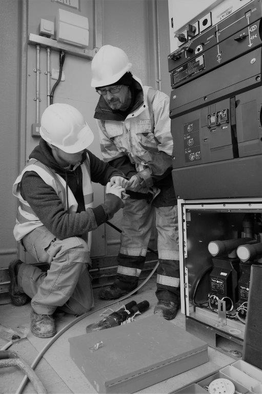 Scatola Da 10 Spilli Bicromati 250mm Mod. 200 952 Amici